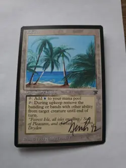 Tolaria ARTIST PROOF Nicola Leonard Legends Set Magic the Gathering - Image 1