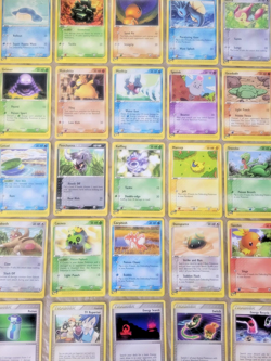 Pokemon e-Reader/E-Series 25 Lot Poochyena, Koffing, Pineco, Horsea, Skitty (MP) - Image 1