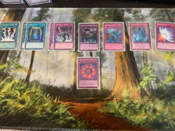 Yu-Gi-Oh! TCG - Old Format Completed Decks - GOAT - H.A.T - Tengu/Plant - Image 3