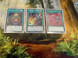 Yu-Gi-Oh! TCG - Old Format Completed Decks - GOAT - H.A.T - Tengu/Plant - Image 4