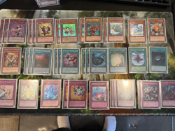 Yu-Gi-Oh! TCG - Old Format Completed Decks - GOAT - H.A.T - Tengu/Plant - Image 5