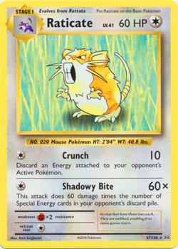 Raticate 67/108 XY Evolutions Pokemon TCG Rare - Image 1