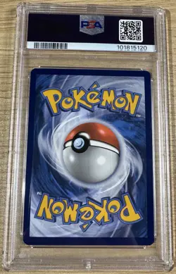 Pokemon Drampa #184 Scarlet & Violet 2024 Temporal Forces IR PSA 10 - Image 2