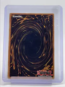 DARK MAGICIAN 2004 YU-GI-OH! STARTER DECK YUGI EVOLUTION D Q5677 - Image 2