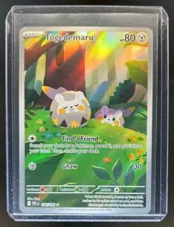 2025 Pokemon Phantasmal Flames PFL EN Togedemaru Illustration Rare #104/094 - Image 1
