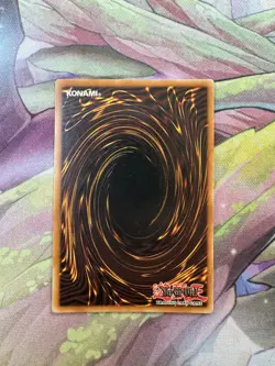 Yu-Gi-Oh Dark Paladin DMG-001 Secret Rare Limited Edition - LP - Image 2