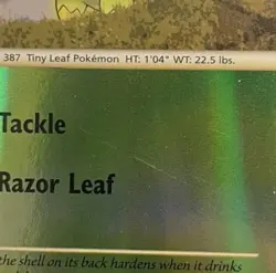 Pokemon TCG Turtwig Diamond & Pearl Card 103/130 Reverse Holo - Image 5