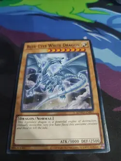 Blue-Eyes White Dragon - SDWD-EN003 - Common (Movie Art) 1st Edition Yugioh - Image 1