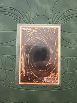 Dracotail Phryxul | Secret Rare | DOOD-EN023 | Yu-Gi-Oh! | NM/M - Image 2