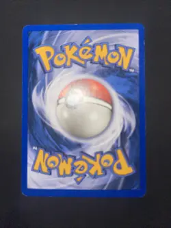 Pokemon Gyarados TCG Card 11/144 Skyridge Reverse Holo - Image 5