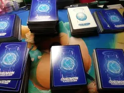 Digimon CCG Bulk Lot (200 Cards. No More Than 4 Copies Of A Card) - Image 1