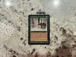 Mtg Constant Mists - Magic the Gathering Constant Mists Played-Hp - Image 1