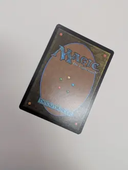 MTG - Hallowed Fountain - Lorwyn Eclipsed NM/M Condition - Image 3