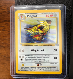 Pokemon Jungle Pidgeot #8/64 Holo Rare LP - Image 2