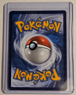 Mega Charizard X EX Promo #023 NM - Black Star Promo - Pokemon Card - NM - Image 4