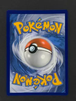 Charizard V SWSH260 Pokemon Sword Shield Promo 2022 NM 🔥🔥🔥 - Image 2