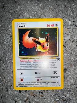 Pokemon TCG Cards Eevee 11 WOTC Black Star Promo Holo - Image 4