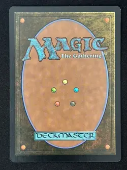 1x MTG Adarkar Wastes (Borderless, Foil) - Dominaria United (DMU) #377 - Image 2