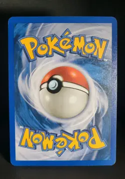 Pokemon Card - Teddiursa Skyridge 109/144 Common - Image 5