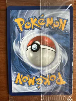 Pokemon: Scream Tail SVP 065 Paradox Rift ETB Black Star Promo Card SEALED - Image 3