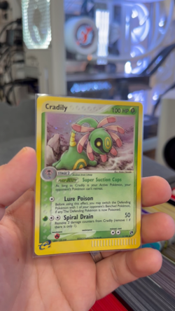 Cradily 3/100 TCG 2003 Pokemon Sandstorm Holo Rare Pokemon Card Near Mint - Image 2