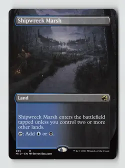Shipwreck Marsh (Borderless)*Non-Foil* Innistrad: Midnight Hunt 285 NM - Image 1