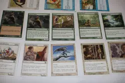 13x 5th edition 7th 8th grizzly bears green starter white border magic cards MP - Image 1