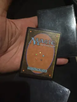 Guru Plains Basic Land Promo 2003 Boston Pro Tour Rochester mtg magic gathering - Image 2