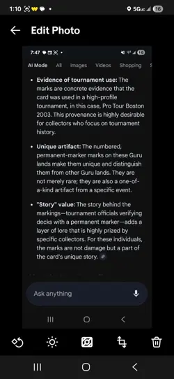 Guru Plains Basic Land Promo 2003 Boston Pro Tour Rochester mtg magic gathering - Image 3