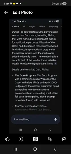 Guru Plains Basic Land Promo 2003 Boston Pro Tour Rochester mtg magic gathering - Image 4