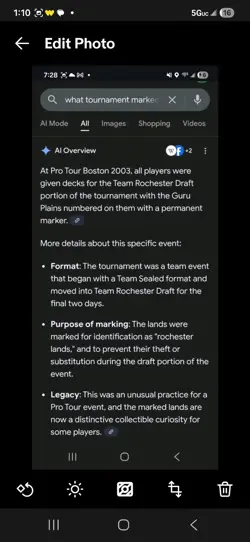 Guru Plains Basic Land Promo 2003 Boston Pro Tour Rochester mtg magic gathering - Image 5