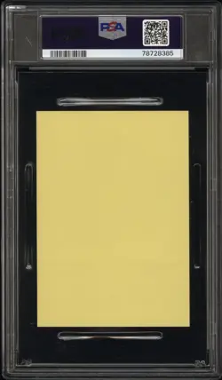 PSA 10 Mega Charizard Y Poncho Pikachu Sleeping Sticker Pokemon PERMANENT POP 4 - Image 2