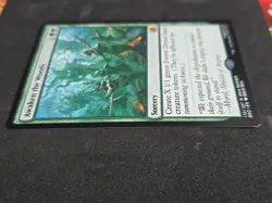 Awaken the Woods The Brothers' War Regular. Pack To Sleeve Direct - Image 2