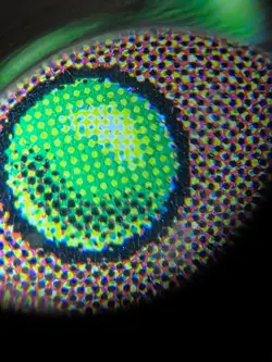 Cursed Scroll Tempest TMP MTG Magic the Gathering 1st Edition Reserved List - Image 3