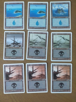31 Magic: the Gathering 6th edition basic lands, Excellent condition - Image 1
