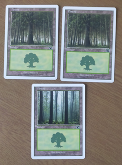 31 Magic: the Gathering 6th edition basic lands, Excellent condition - Image 2