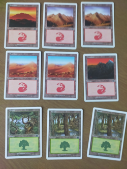 31 Magic: the Gathering 6th edition basic lands, Excellent condition - Image 3