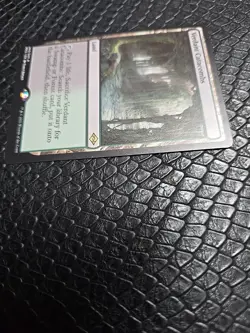 Magic The Gathering Modern Horizons 2 Verdant Catacombs - Image 2