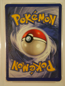 PSA 9 Mint 1999 Pokemon Game Base Set Charmeleon No. 24 - MINT - Image 4