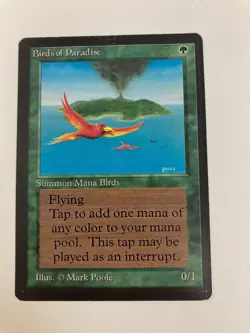 MTG Birds of Paradise, BETA Edition, EX-NM, Magic the Gathering 1993 - Image 1