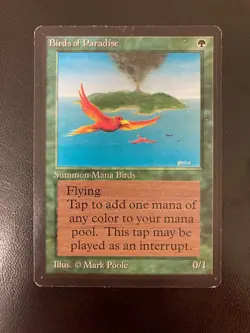 MTG Birds of Paradise, BETA Edition, EX-NM, Magic the Gathering 1993 - Image 3