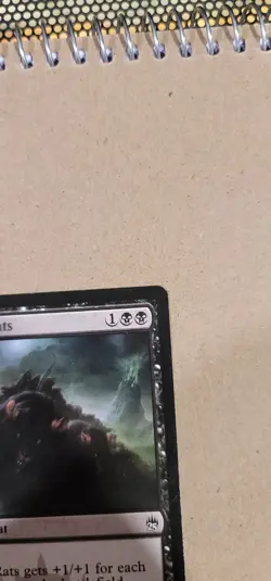 2x MTG Relentless Rats - See Description - Image 5