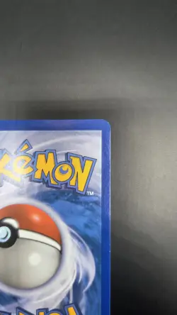 Charmander 101/100 - Near Mint - Pokemon Stormfront - Secret Rare Holo Card - Image 4