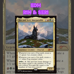 EDH - Rin & Seri, Dog & Cat Tribal, MTG Commander Deck, Bracket 2 - Image 1