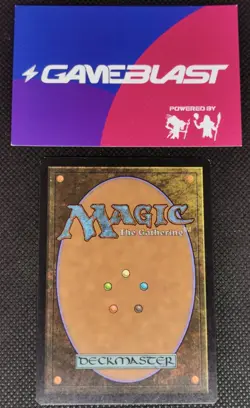 MTG Verdant Catacombs Italian - Zendikar - Black Green Fetch Land First Printing - Image 2