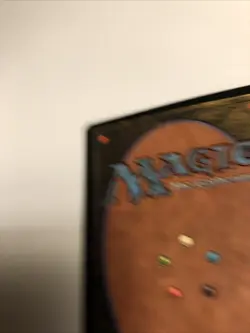 Natural Order Magic MTG Visions LP SIGNED By Artist Terese Nielsen Vintage - Image 5