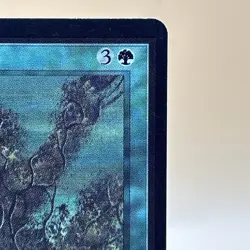 MTG English Living Lands NM Normal Beta - Image 2