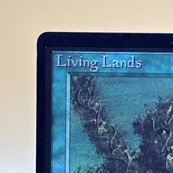 MTG English Living Lands NM Normal Beta - Image 5