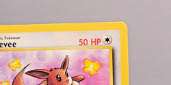 Eevee Jungle 51/64 1st Edition common NM Pokemon TCG - Image 5