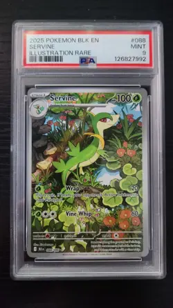 Servine Illustration Rare 2025 Pokemon Black Bolt 088/086 PSA 9 Mint - Image 1